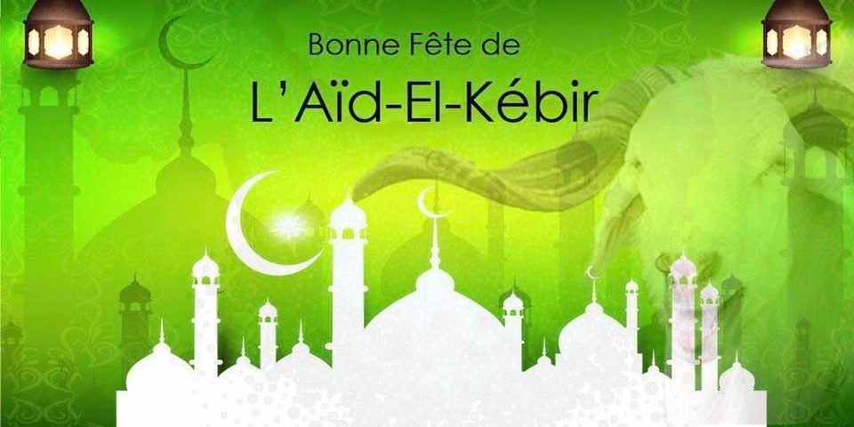 68706222_1215324375316497_6281865947913388032_n